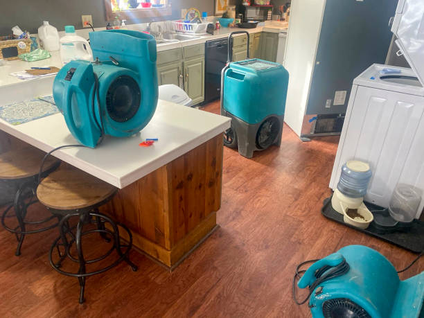 Best Water damage restoration company  in Lyman, SC